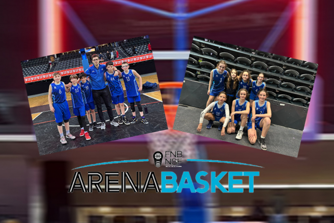 arena basket 23